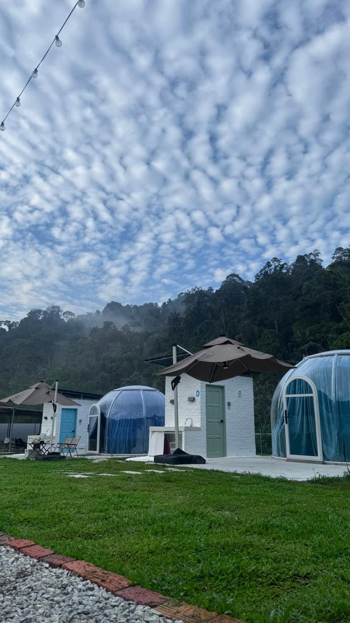 Khemah mewah The Starry Dome Couple