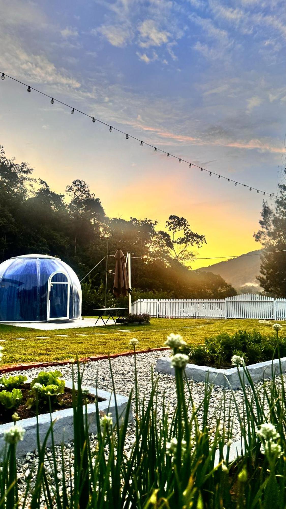 The Starry Dome Couple Khemah mewah *