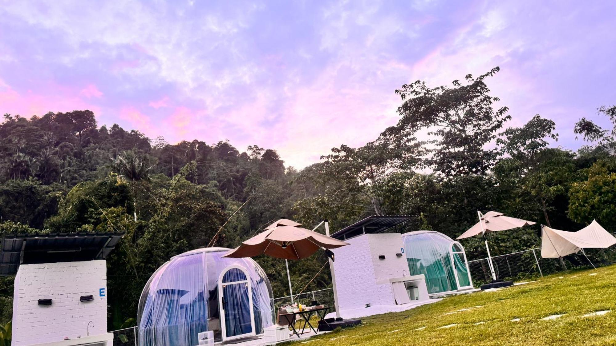 Khemah mewah The Starry Dome Couple *