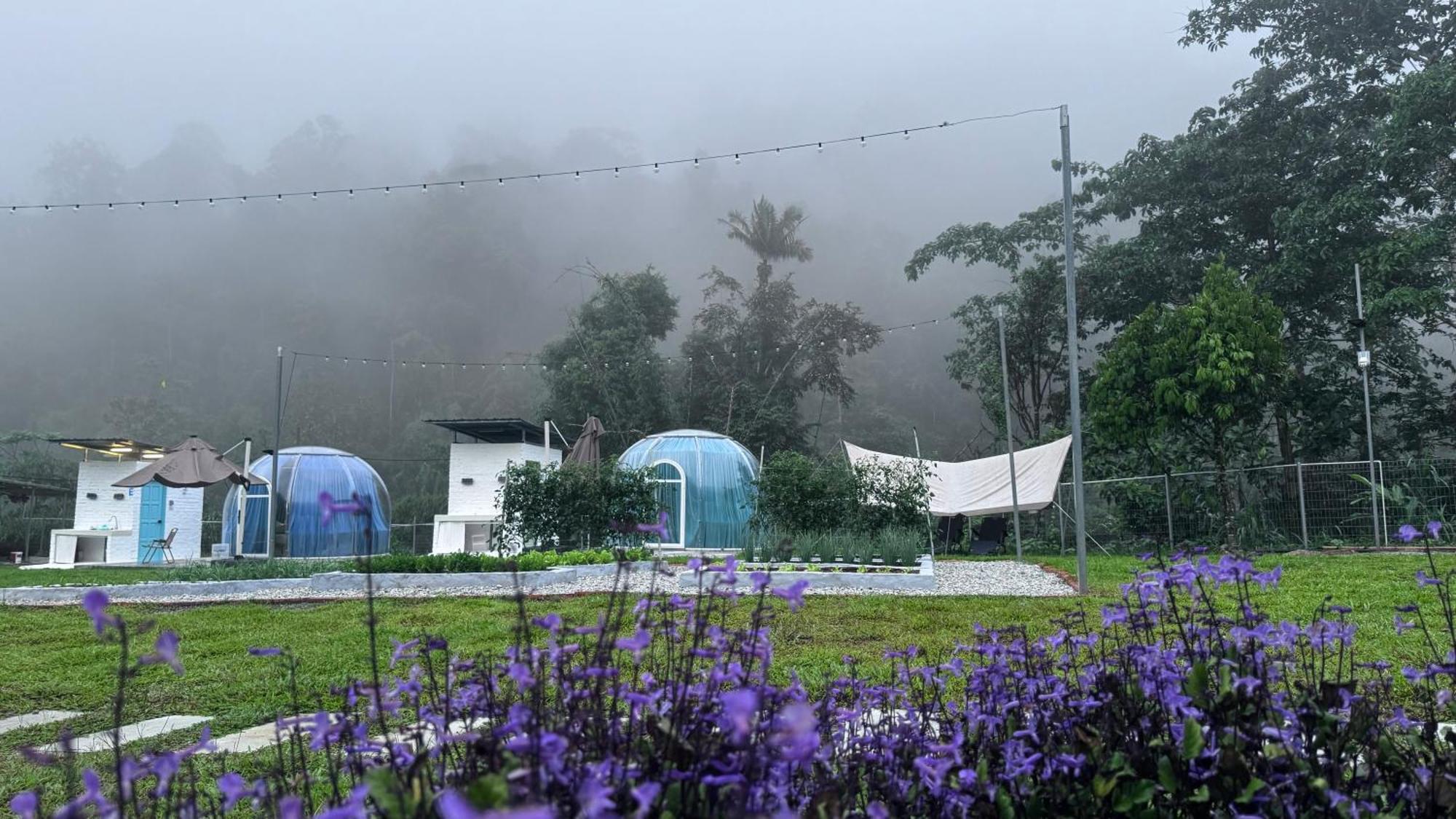 The Starry Dome Couple * Cameron Highlands