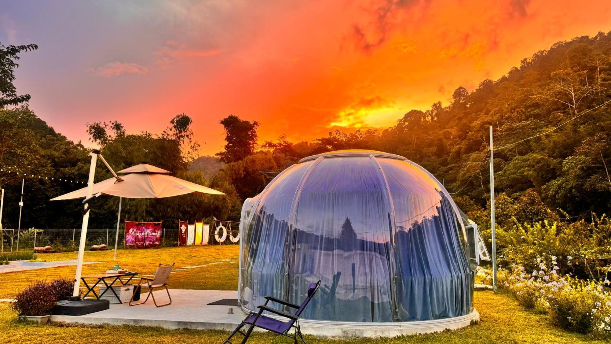 The Starry Dome Couple